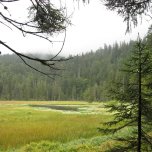 Velké Javorské jezero 5